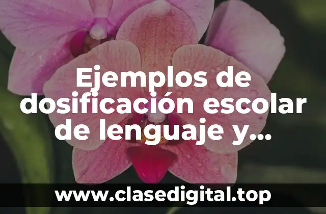 Ejemplos de dosificación escolar de lenguaje y comunicación