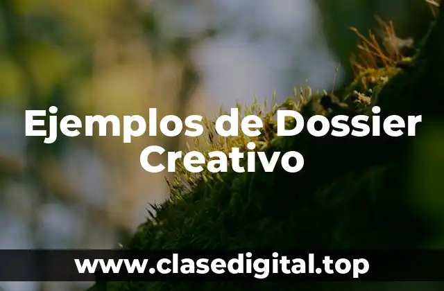 Ejemplos de Dossier Creativo