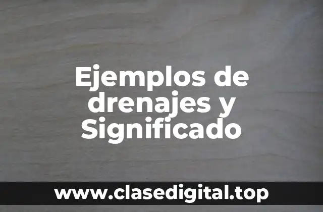 Ejemplos de drenajes y Significado