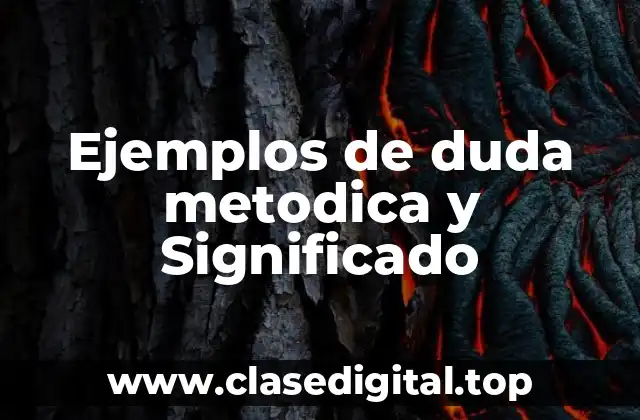 Ejemplos de duda metodica y Significado