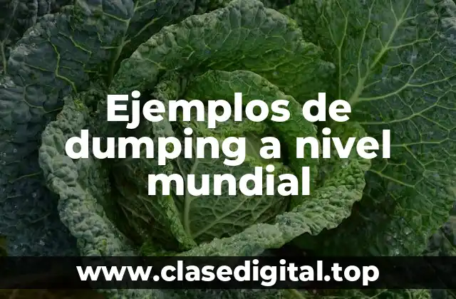 Ejemplos de dumping a nivel mundial