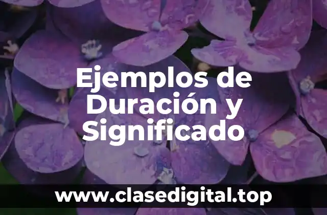 Ejemplos de Duración y Significado