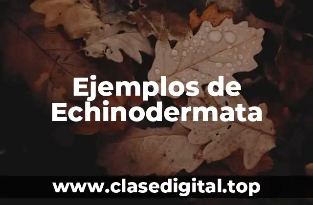 Ejemplos de Echinodermata