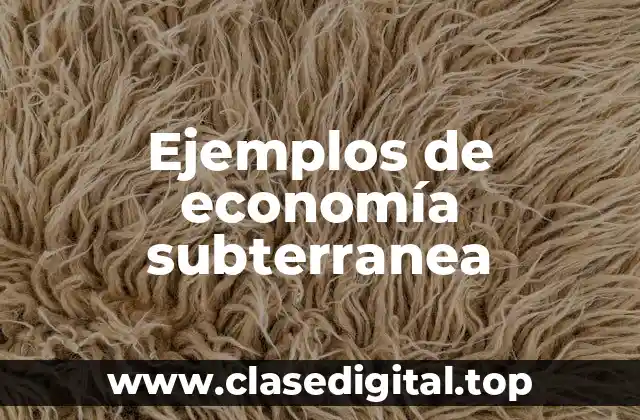 Ejemplos de economía subterranea