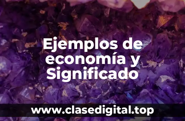 Ejemplos de economía y Significado