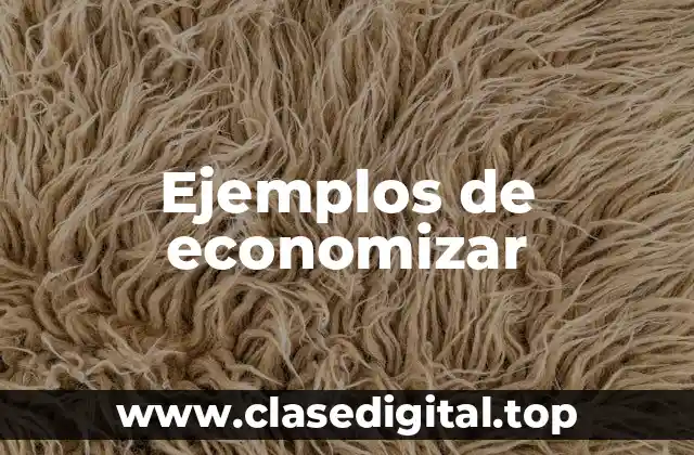 Ejemplos de economizar