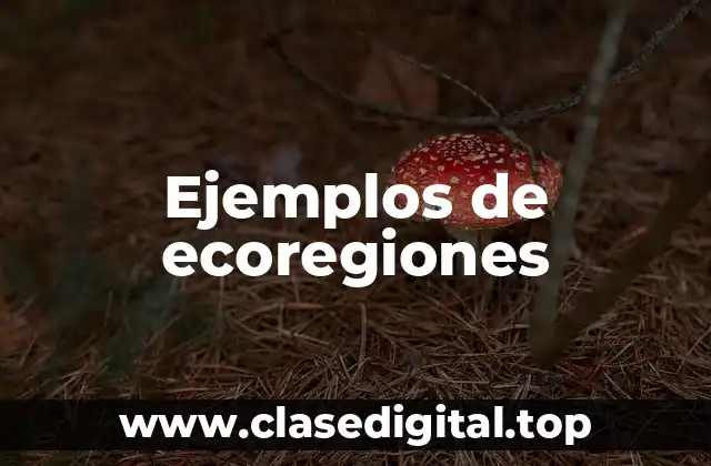 Ejemplos de ecoregiones