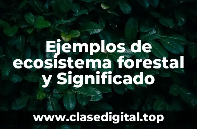Ejemplos de ecosistema forestal