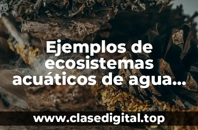 Ejemplos de ecosistemas acuáticos de agua salada y Significado