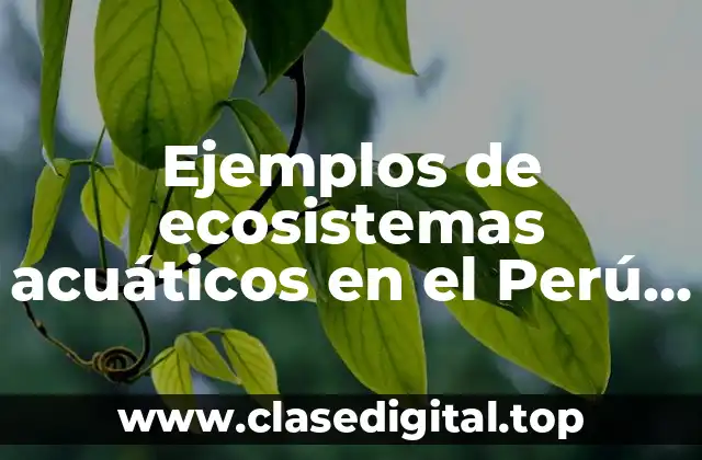 Ejemplos de ecosistemas acuáticos en el Perú y Significado