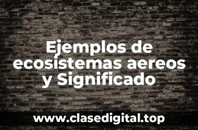 Ejemplos de ecosistemas aereos y Significado