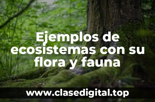 Ejemplos de ecosistemas con su flora y fauna
