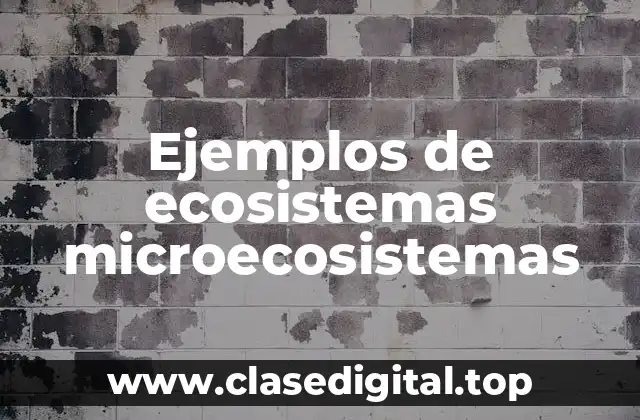 Ejemplos de ecosistemas microecosistemas