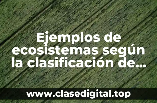 Ejemplos de ecosistemas según la clasificación de Copen