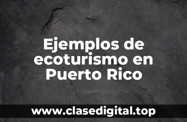 Ejemplos de ecoturismo en Puerto Rico