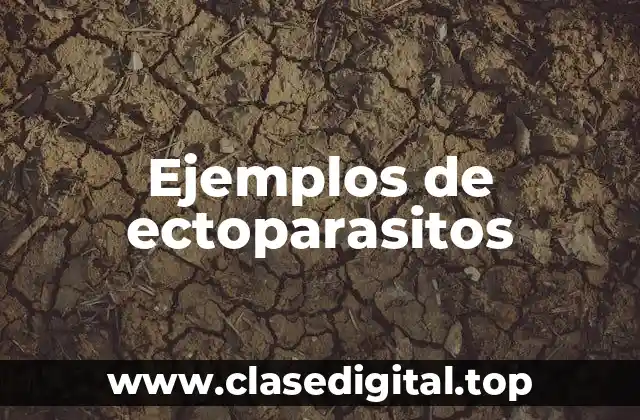 Ejemplos de ectoparasitos
