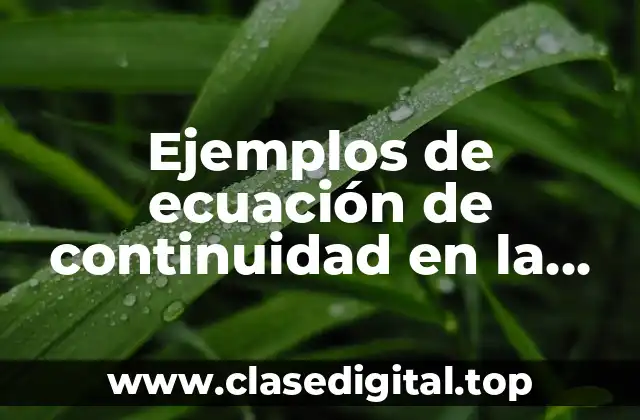 Ejemplos de ecuación de continuidad