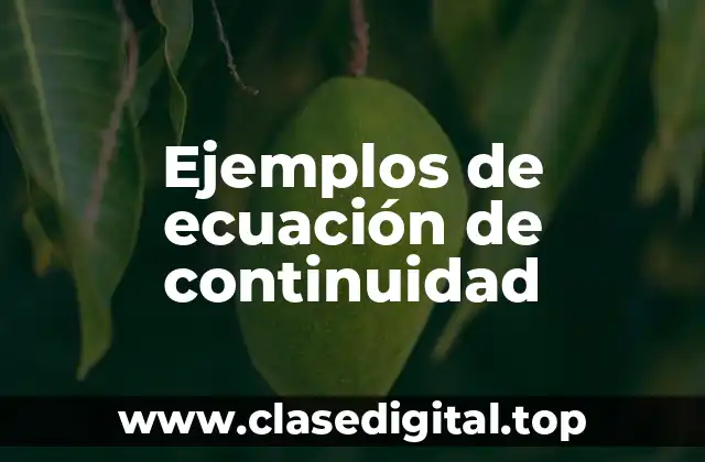 Ejemplos de ecuación de continuidad