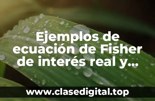 Ejemplos de ecuación de Fisher de interés real y Significado