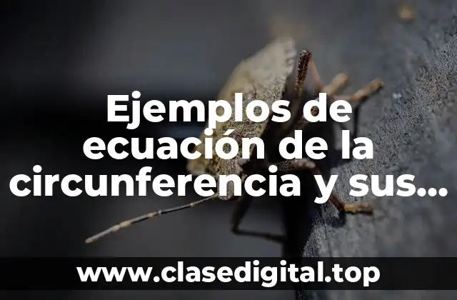 Ejemplos de ecuación de la circunferencia y sus aplicaciones