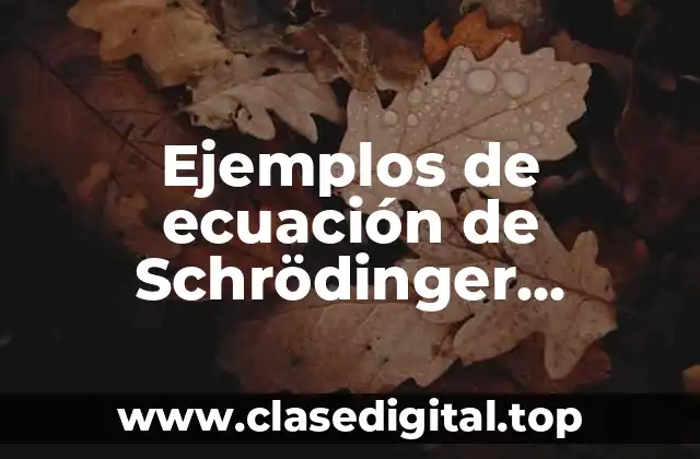Ejemplos de ecuación de Schrödinger dependientes del tiempo y Significado
