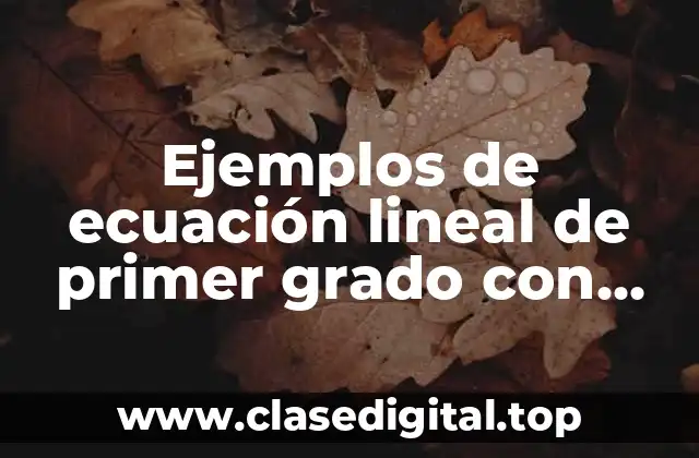 Ejemplos de ecuación lineal de primer grado con una incógnita y Significado