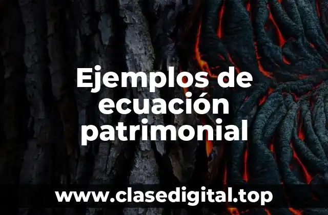 Ejemplos de ecuación patrimonial