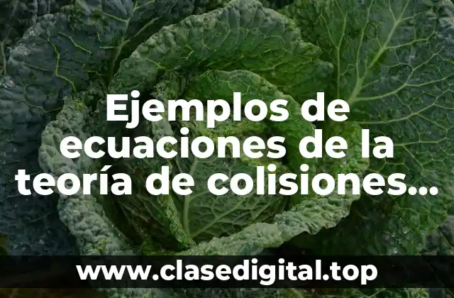 Ejemplos de ecuaciones de la teoría de colisiones y Significado
