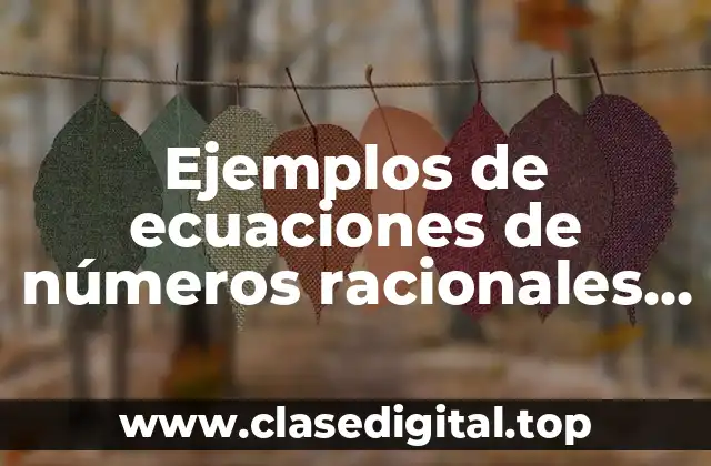 Ejemplos de ecuaciones de números racionales y Significado