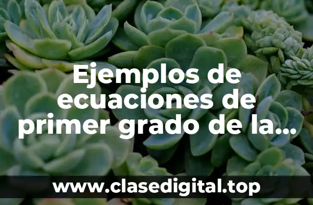 Ejemplos de ecuaciones de primer grado de la forma ax + b