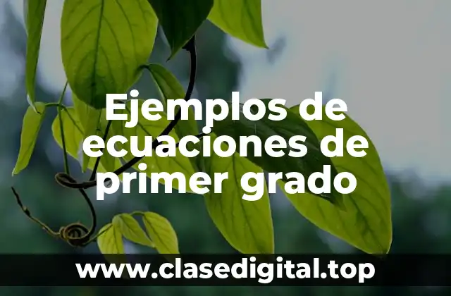 Ejemplos de ecuaciones de primer grado