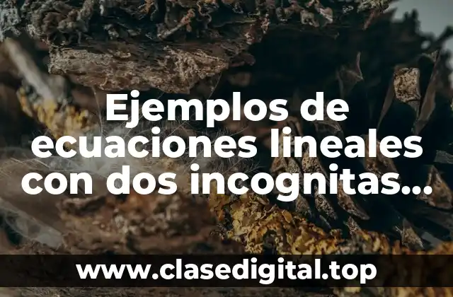 Ejemplos de ecuaciones lineales con dos incognitas método de igualación y Significado