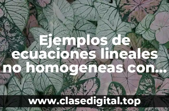 Ejemplos de ecuaciones lineales no homogeneas con coeficientes constantes
