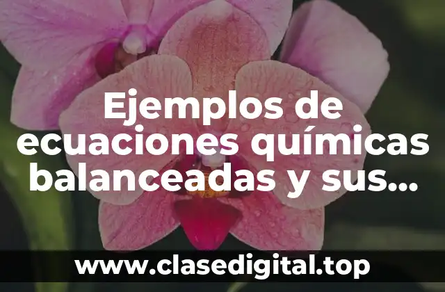 Ejemplos de ecuaciones químicas balanceadas y sus reacciones