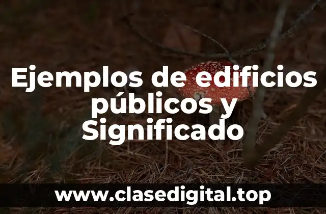 Ejemplos de edificios públicos y Significado