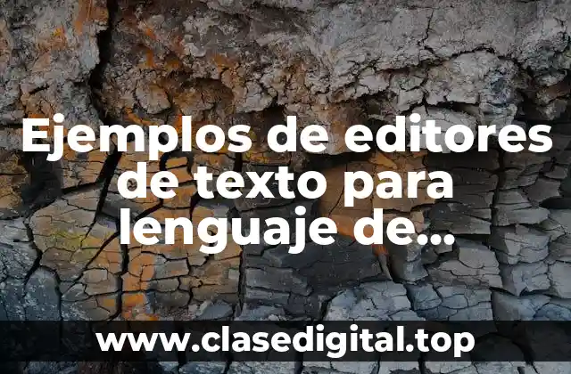 Ejemplos de editores de texto para lenguaje de programación