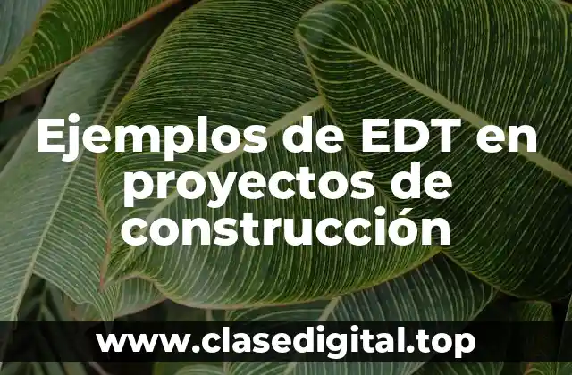 Ejemplos de EDT en proyectos de construcción