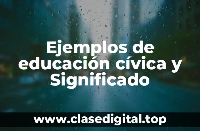 Ejemplos de educación cívica