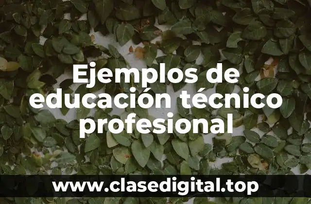 Ejemplos de educación técnico profesional