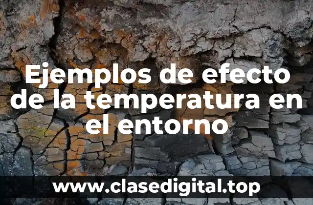 Ejemplos de efecto de la temperatura en el entorno