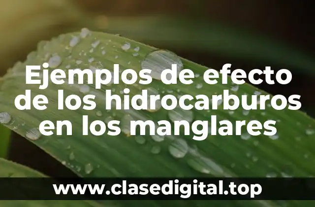 Ejemplos de efecto de los hidrocarburos en los manglares