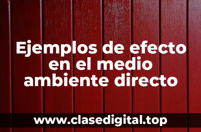 Ejemplos de efecto en el medio ambiente directo