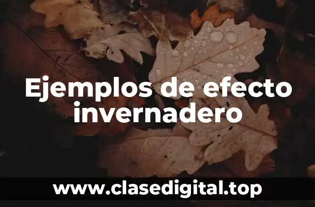 Ejemplos de efecto invernadero