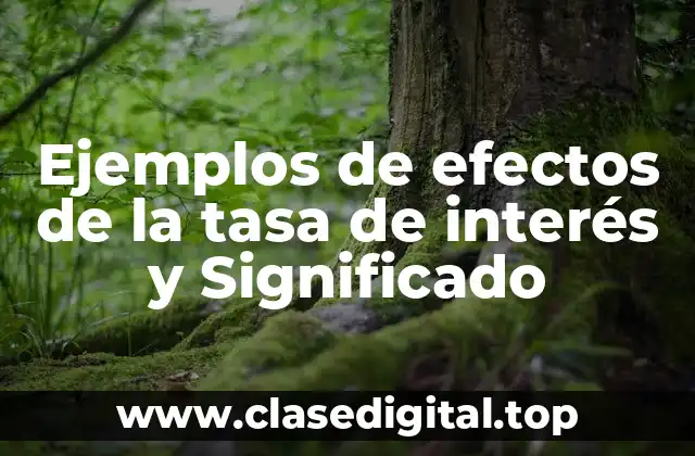 Ejemplos de efectos de la tasa de interés y Significado