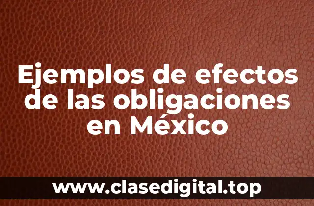 Ejemplos de efectos de las obligaciones en México