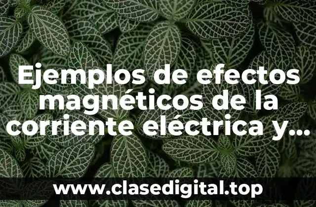 Ejemplos de efectos magnéticos de la corriente eléctrica y Significado