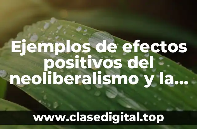 Ejemplos de efectos positivos del neoliberalismo y la globalización y Significado