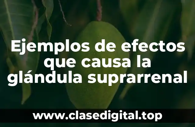 Ejemplos de efectos que causa la glándula suprarrenal