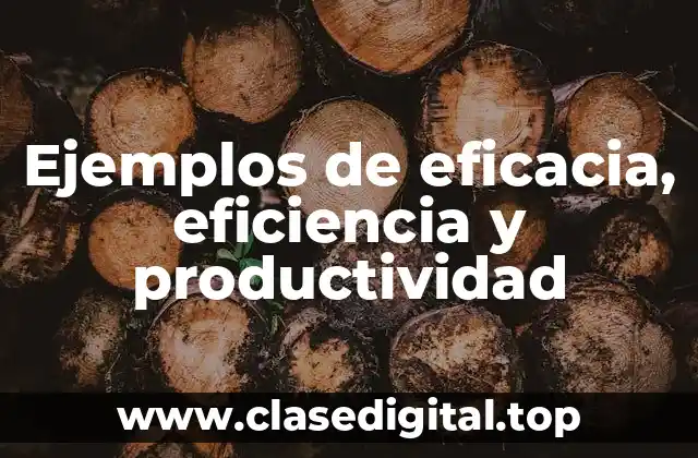 Ejemplos de eficacia, eficiencia y productividad