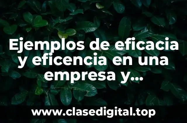 Ejemplos de eficacia y eficencia en una empresa y Significado